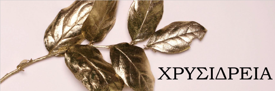 ΧΡΥΣΙΔΡΕΙΑ 2
