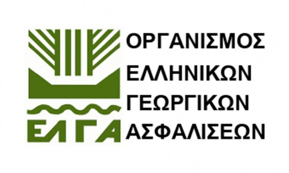 elga dimitra 24