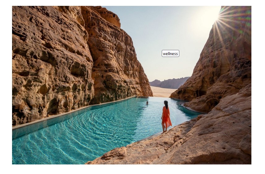 TourismToday News 12.12.24
