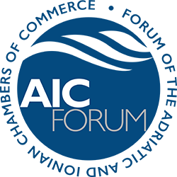 Forum AIC Newsletter ISSUE n.13