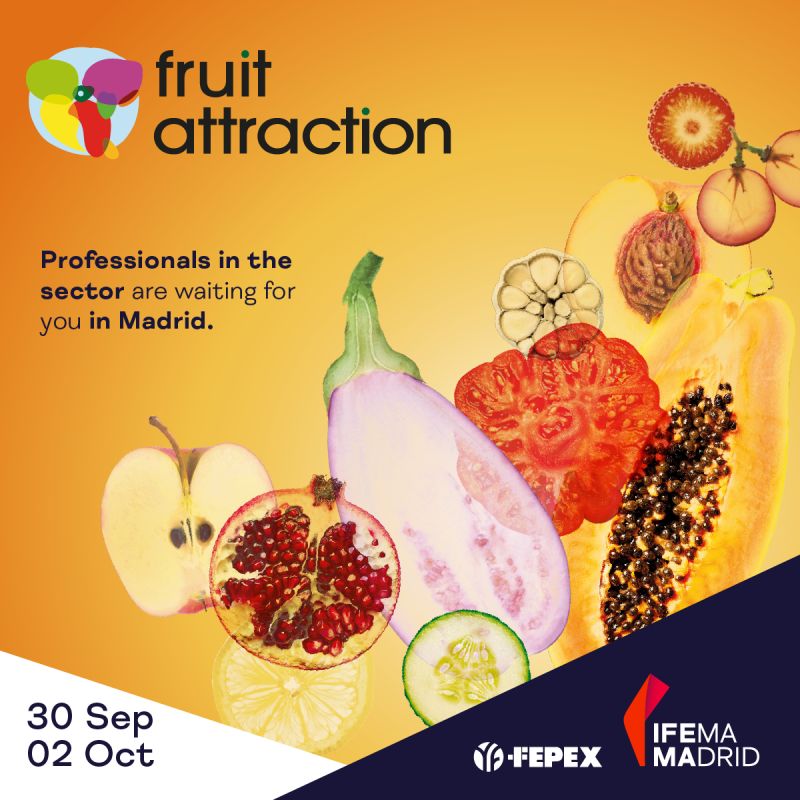 LK FRUIT CONV EN 1200X1200 v1png