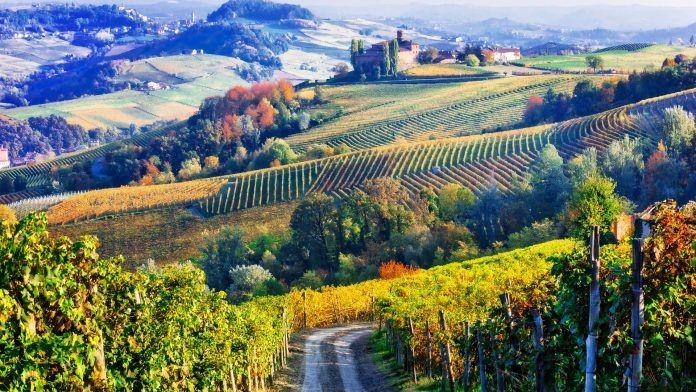TourismToday News 08.2025