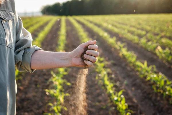 depositphotos 659802736-stock-photo-drought-agricultural-field-farmer-holding