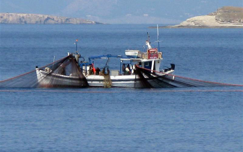 Πρόγραμμα 16 εκατ. ευρώ για την αλιεία ανακοίνωσε από την Ιχθυόσκαλα